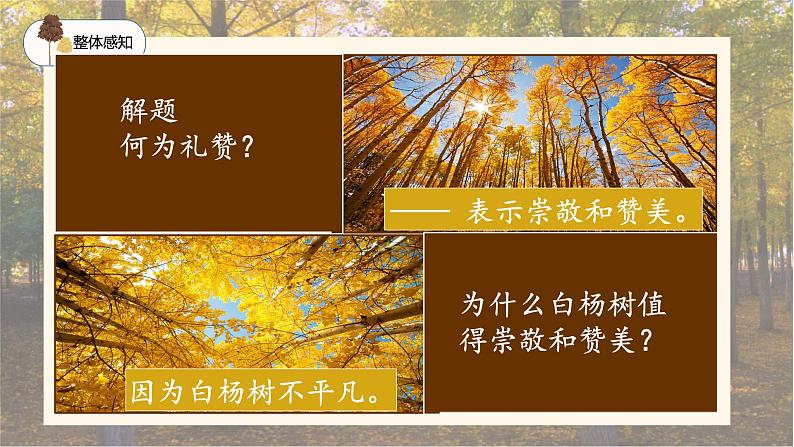 部编版初中语文PPT课件八年级上第四单元白杨礼赞07