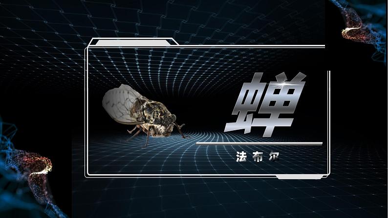 部编版初中语文PPT课件八年级上第五单元蝉01