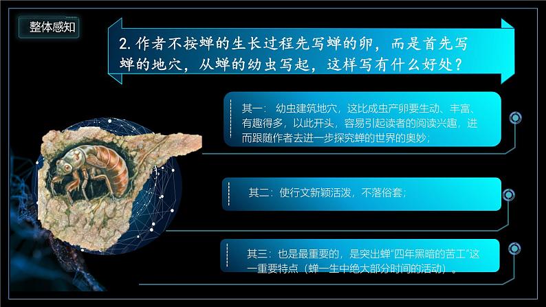部编版初中语文PPT课件八年级上第五单元蝉06