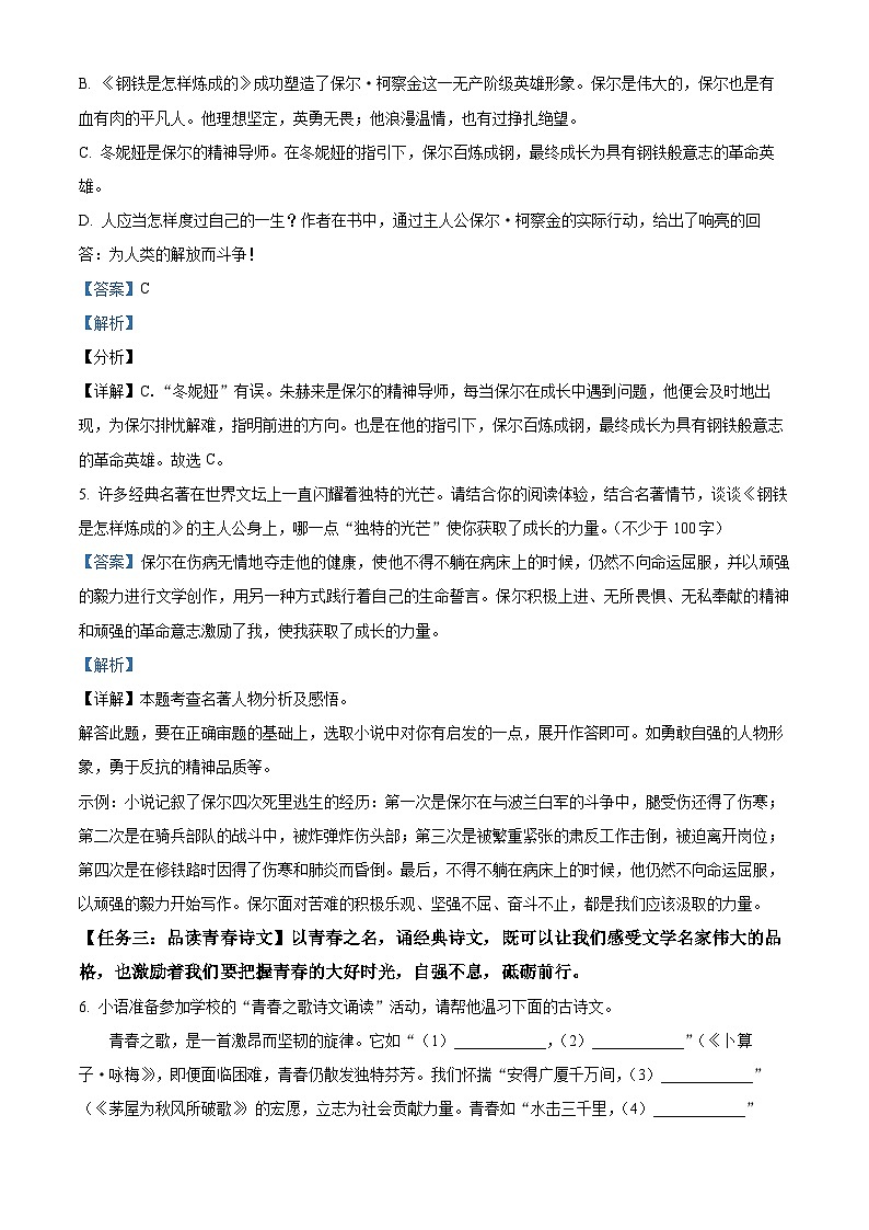 山东省聊城临清市2023-2024学年八年级下学期期末语文试题（解析版）03
