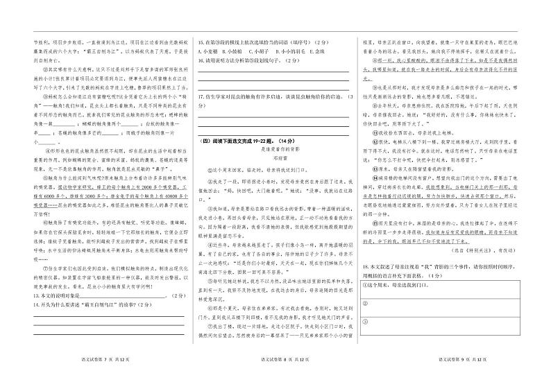 云南省云南民族大学附属中学2024-2025学年七年级上学期分班考试语文试题第2页