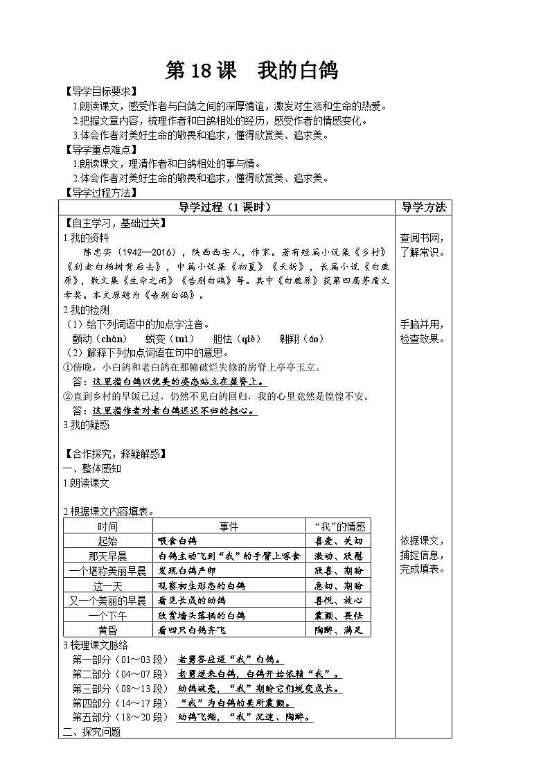 【高效课堂】18 我的白鸽 同步探究导学案 统编版语文七年级上册01