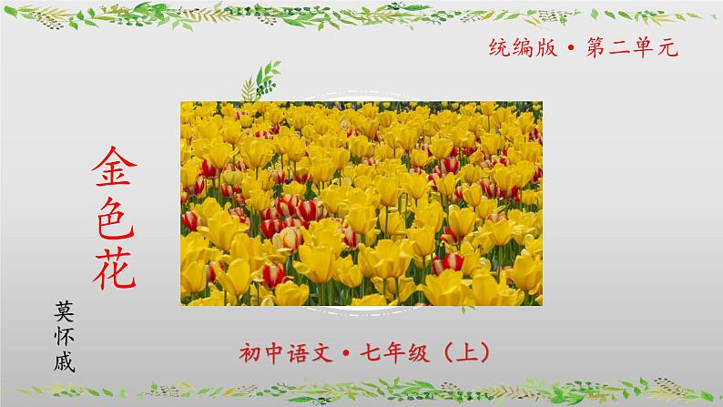 第7课《散文诗二首—金色花》-课件 2024-2025学年七年级 语文上册（统编版2024）第1页