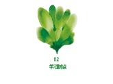 第1课《春》（课件）-2024-2025学年七年级语文上册（统编版2024）