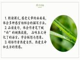 第3課《雨的四季》-課件 2024-2025學(xué)年七年級(jí) 語(yǔ)文上冊(cè)（部編版2024）