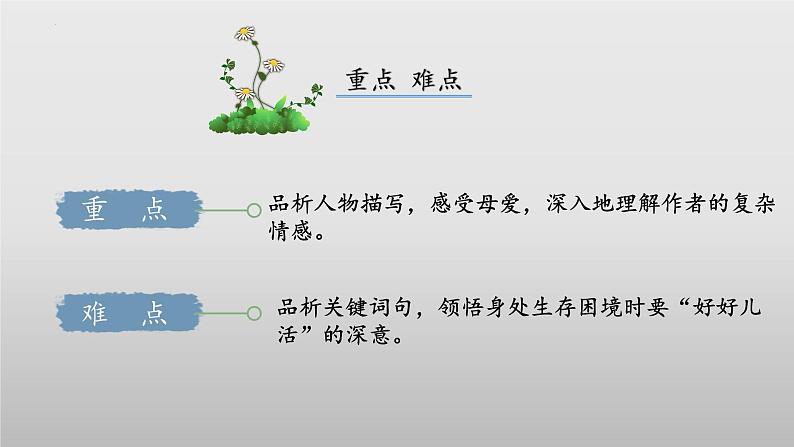 第5课《秋天的怀念》-课件 2024-2025学年七年级 语文上册（部编版2024）第4页