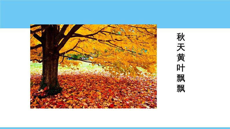 第5课《秋天的怀念》-课件 2024-2025学年七年级 语文上册（部编版2024）第7页