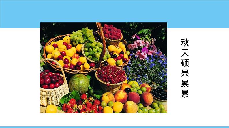 第5课《秋天的怀念》-课件 2024-2025学年七年级 语文上册（部编版2024）第8页