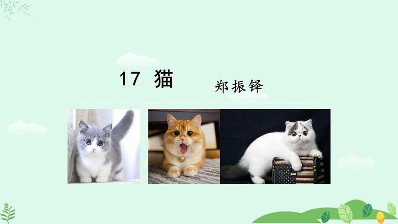 第17课《猫》-课件 2024-2025学年七年级 语文上册（部编版2024）01