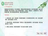 人教部编版（五四版）语文六上 8 灯光 课件