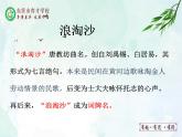 人教部编版（五四版）语文六上 13 《古代诗歌三首》 课件