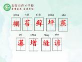 人教部编版（五四版）语文六上 17 夏天里的成长课件