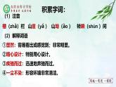 人教部编版（五四版）语文六上 19 小站 课件
