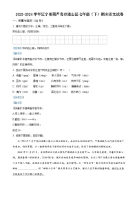 辽宁省葫芦岛市连山区2023-2024学年七年级下学期期末语文试题（解析版）