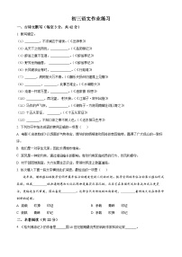 河北省石家庄市第四十中学2024-2025学年九年级上学期开学考试语文试题（原卷版）