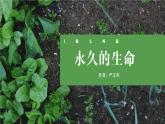 部编版八上语文第16课《永久的生命》同步课件