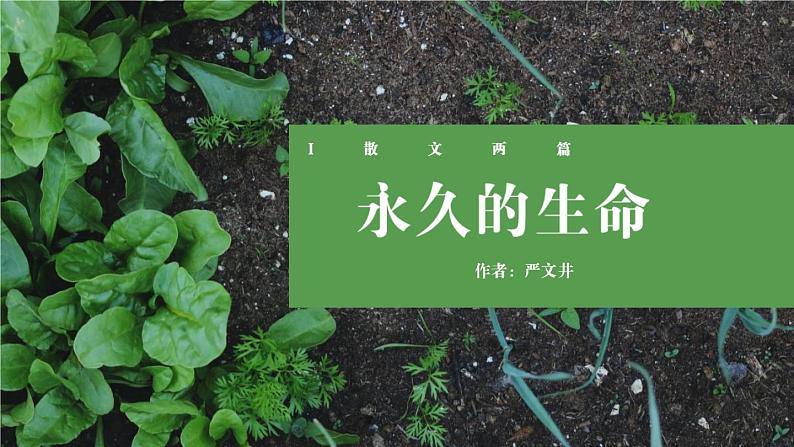 部编版八上语文第16课《永久的生命》同步课件第1页