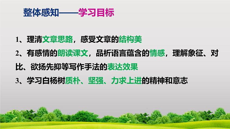 部编版八上语文第15课《白杨礼赞》同步课件第5页