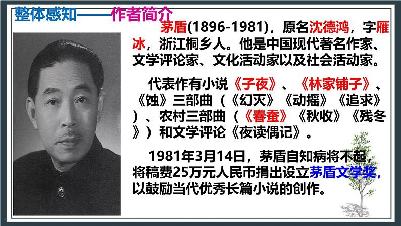 部编版八上语文第15课《白杨礼赞》同步课件第6页