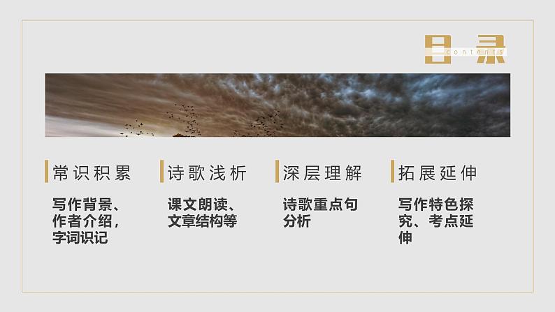 部编版九年级语文上册第3课《我爱这土地》优质课件03