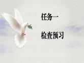 第18课 《我的白鸽》：岁月里的温柔信使（课件）（统编版2024）