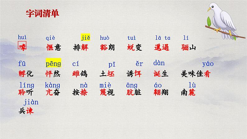 第18课 《我的白鸽》：岁月里的温柔信使（课件）（统编版2024）05