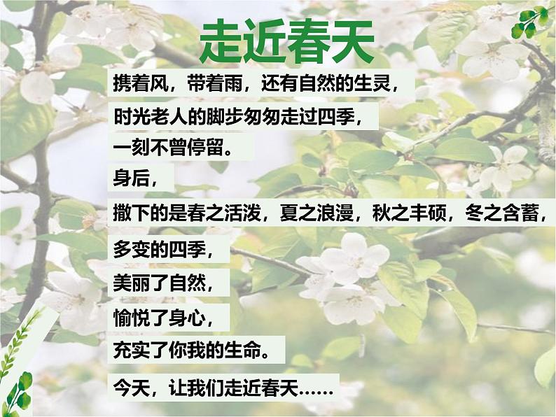 统编版五四制（上海专用）语文七年级上册 第01课 春（教学课件）04