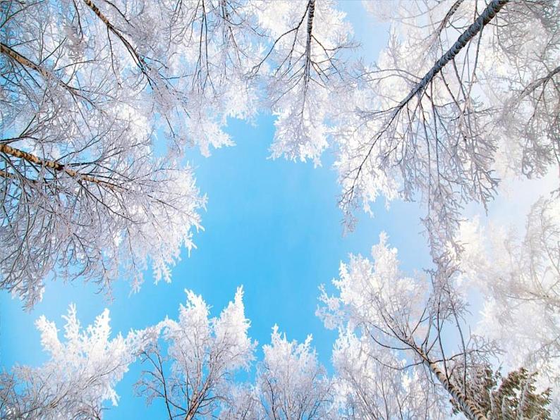 统编版五四制（上海专用）语文七年级上册 第02课 济南的冬天（教学课件）07