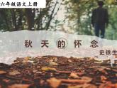 统编版五四制（上海专用）语文七年级上册 第05课 秋天的怀念（教学课件）