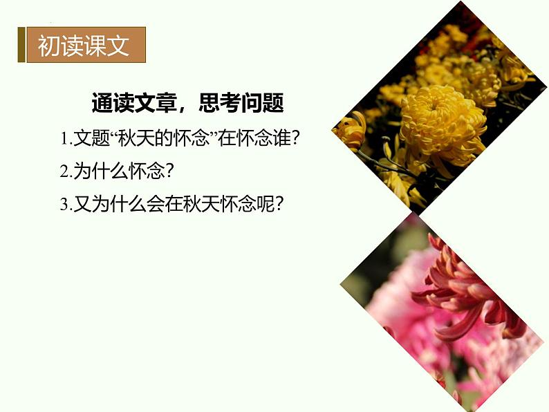 统编版五四制（上海专用）语文七年级上册 第05课 秋天的怀念（教学课件）05