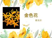 统编版五四制（上海专用）语文七年级上册 第07课 散文诗二首（教学课件）