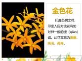 统编版五四制（上海专用）语文七年级上册 第07课 散文诗二首（教学课件）