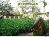 统编版五四制（上海专用）语文七年级上册 第09课 从百草园到三味书屋（教学课件）