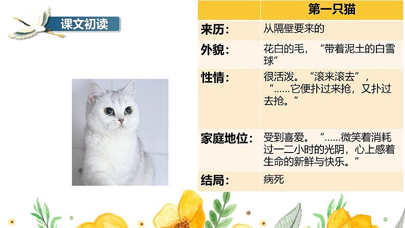 统编版五四制（上海专用）语文七年级上册 第16课 猫（教学课件）08