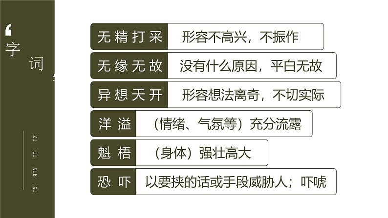 部编版九年级语文下册第6课《变色龙》优质课件07