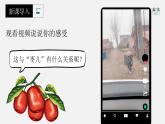 部編版九年級(jí)語文下冊(cè)第19課《棗兒》優(yōu)質(zhì)課件