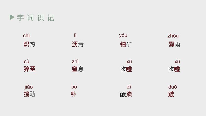 部编版八年级语文上册第9课《美丽的颜色》优质课件07