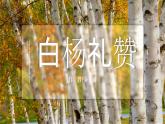 部编版八年级语文上册第15课《白杨礼赞》优质课件