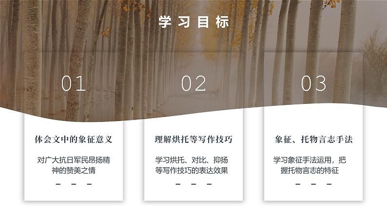 部编版八年级语文上册第15课《白杨礼赞》优质课件第3页