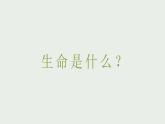 部编版八年级语文上册第16课《散文二篇》优质课件