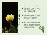 部编版八年级语文上册第17课《昆明的雨》优质课件