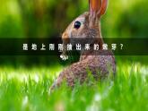部编版七年级语文上册第1课《春》优质课件