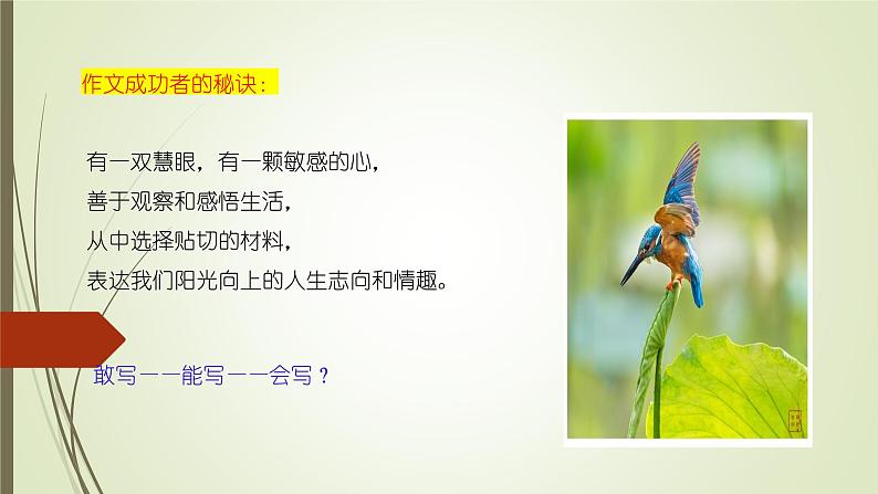 课件：部编版初中语文七年级上册第一单元  热爱写作，学会观察06