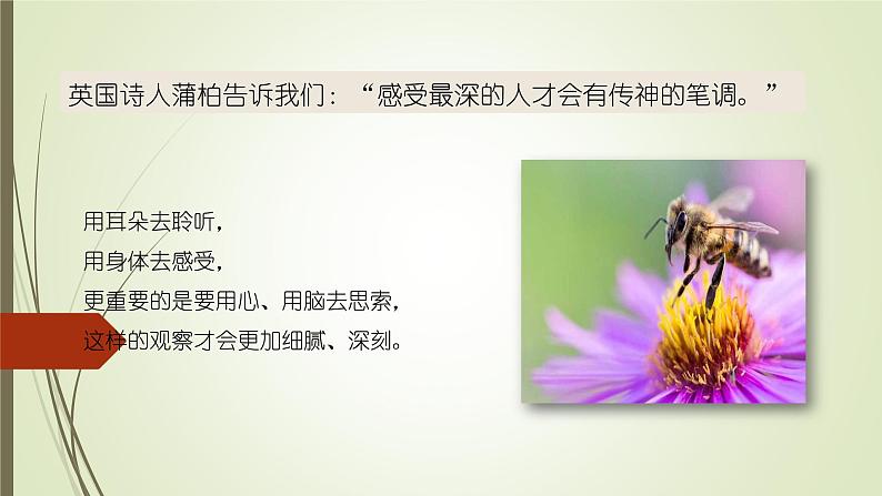 课件：部编版初中语文七年级上册第一单元  热爱写作，学会观察08