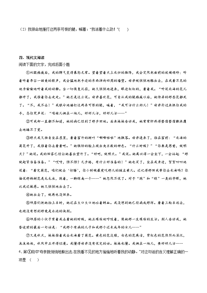 第5课《秋天的怀念》-2024-2025学年七年级语文上册知识梳理+同步练习（统编版2024）03