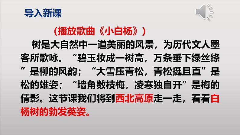 第15课《白杨礼赞》  课件-2024-2025学年八年级语文上册 （统编版）第2页