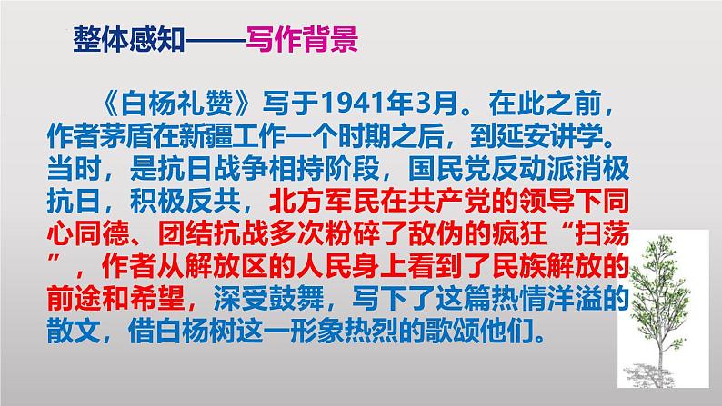 第15课《白杨礼赞》  课件-2024-2025学年八年级语文上册 （统编版）第5页