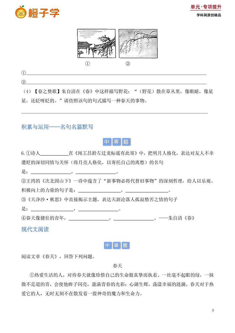 第一单元积累与运用和阅读理解（含答案） 2024-2025学年七年级上册语文同步练03