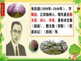 1 春 课件  初中语文统编2024七年级上册