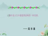 1 社戏 课件 初中语文统编2024八年级下册